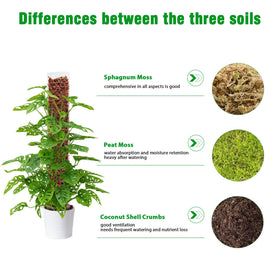 Bonviee sphagnum moss included hydrates roots and nourishes leaves