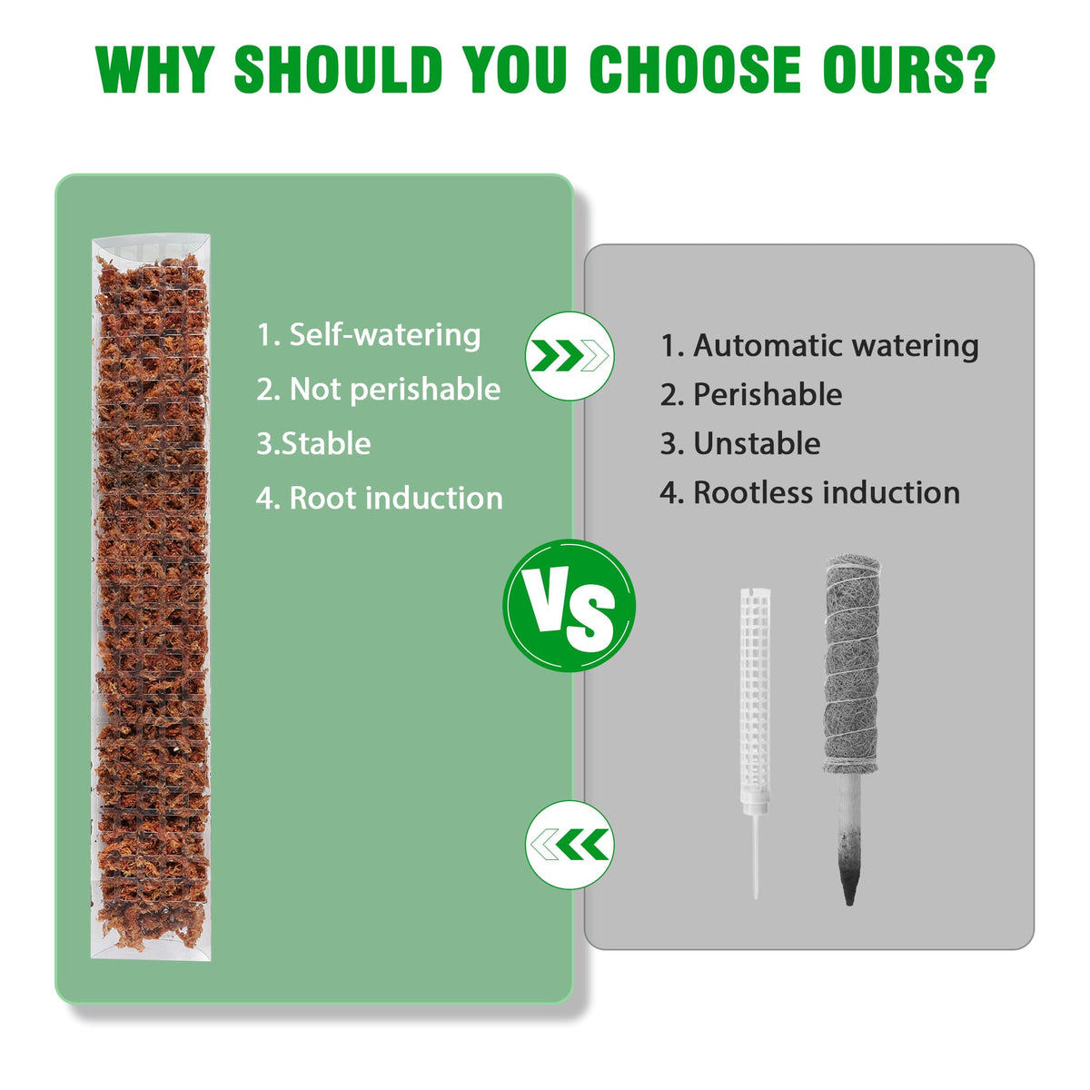 Bonviee vertical growth solution promotes secure root attachment and climbing behavior