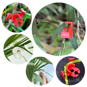 Booge red and white clip set for greenhouse plant training