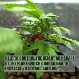 Booge plant-training clips packaged for easy setup in tents and gardens