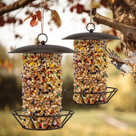 Booson outdoor bird feeding decor enhances yard appeal and bird activity.