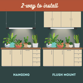 Red-light emphasis demonstrates flowering and fruit potential in compact indoor setups.