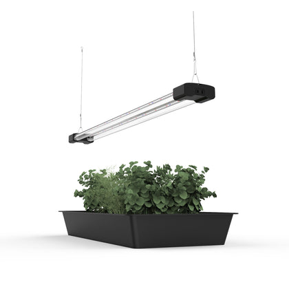 BoostGro 3ft LED grow light over succulent terrarium delivers balanced full-spectrum brightness.