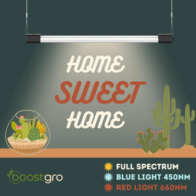 BoostGro blue light 450nm supports seed starting and early leaf development in indoor setups