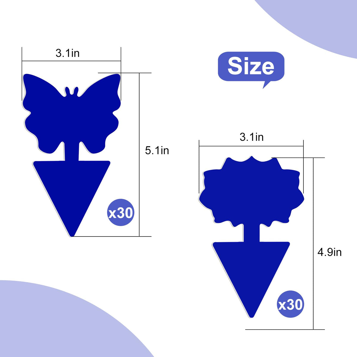 Boromine blue fruit fly trap on soil protects potted plants from flying pests