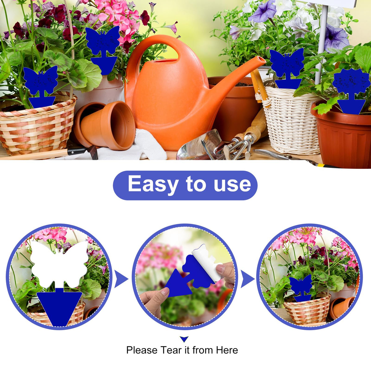 Boromine blue sticky trap attached to a leaf for garden pest management