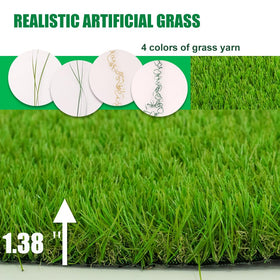 Boshuele turf closeup shows soft blades and lush texture