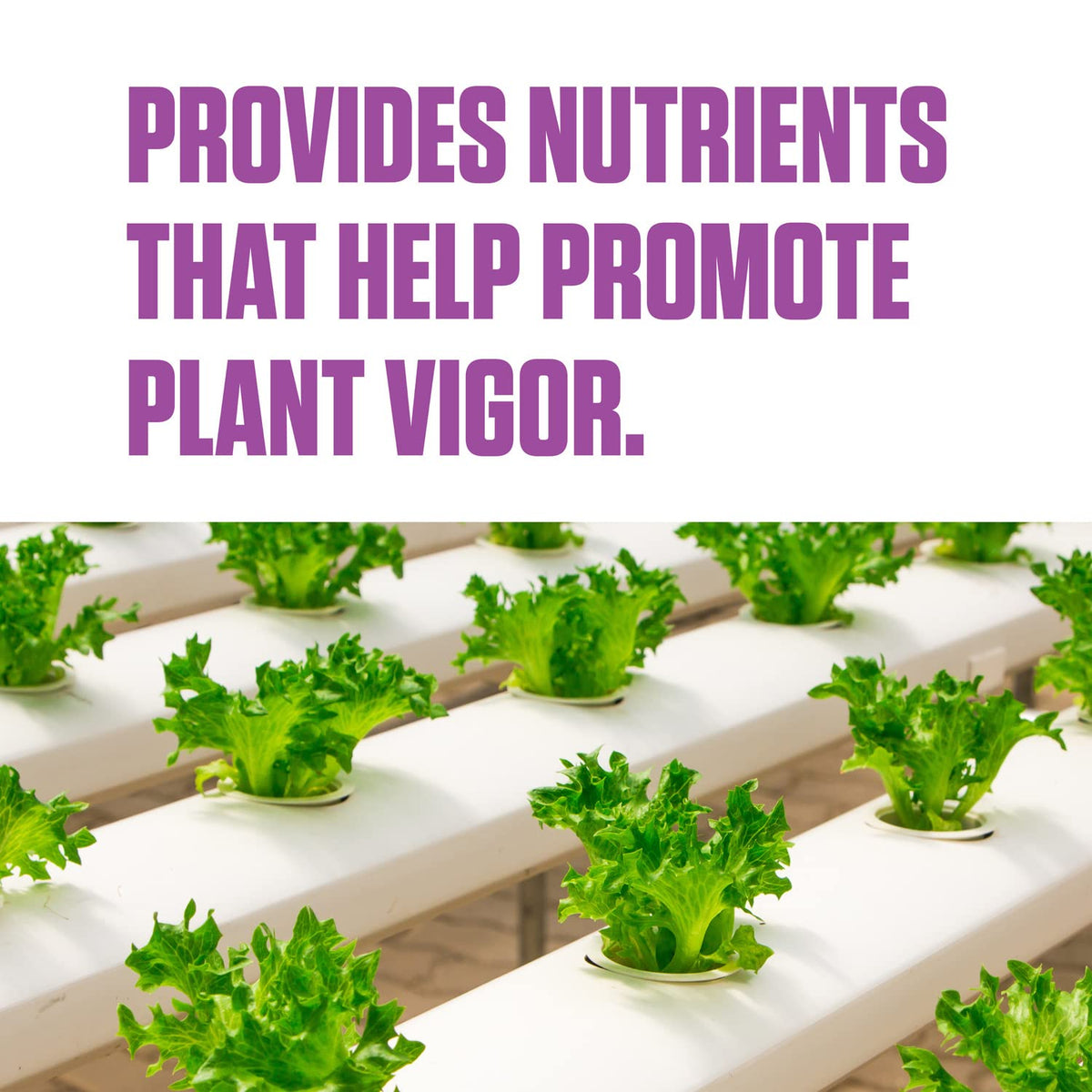 Botanicare Liquid Karma vial mix shows versatile additive for growth stage nutrition