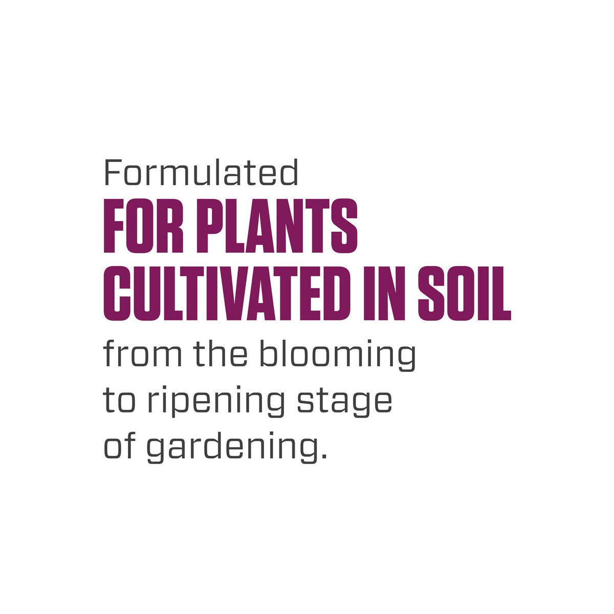 Plants thriving in soil or coco after feeding with Bloom Soil