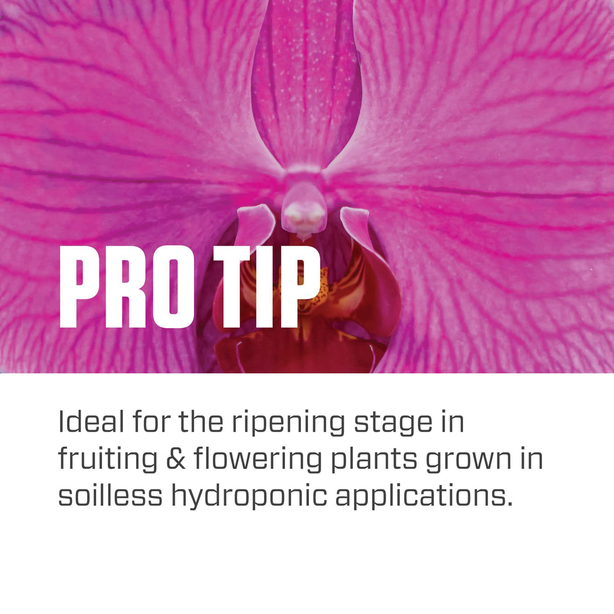 Grow tent setup showing Bloom Soil used during the bloom stage