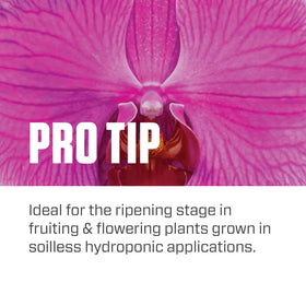 Grow tent setup showing Bloom Soil used during the bloom stage