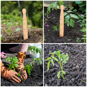 Bothyi wooden dibber crafted from natural material supports long lasting garden use