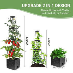 BOTINDO 4 corner tower provides sturdy support for climbing plants