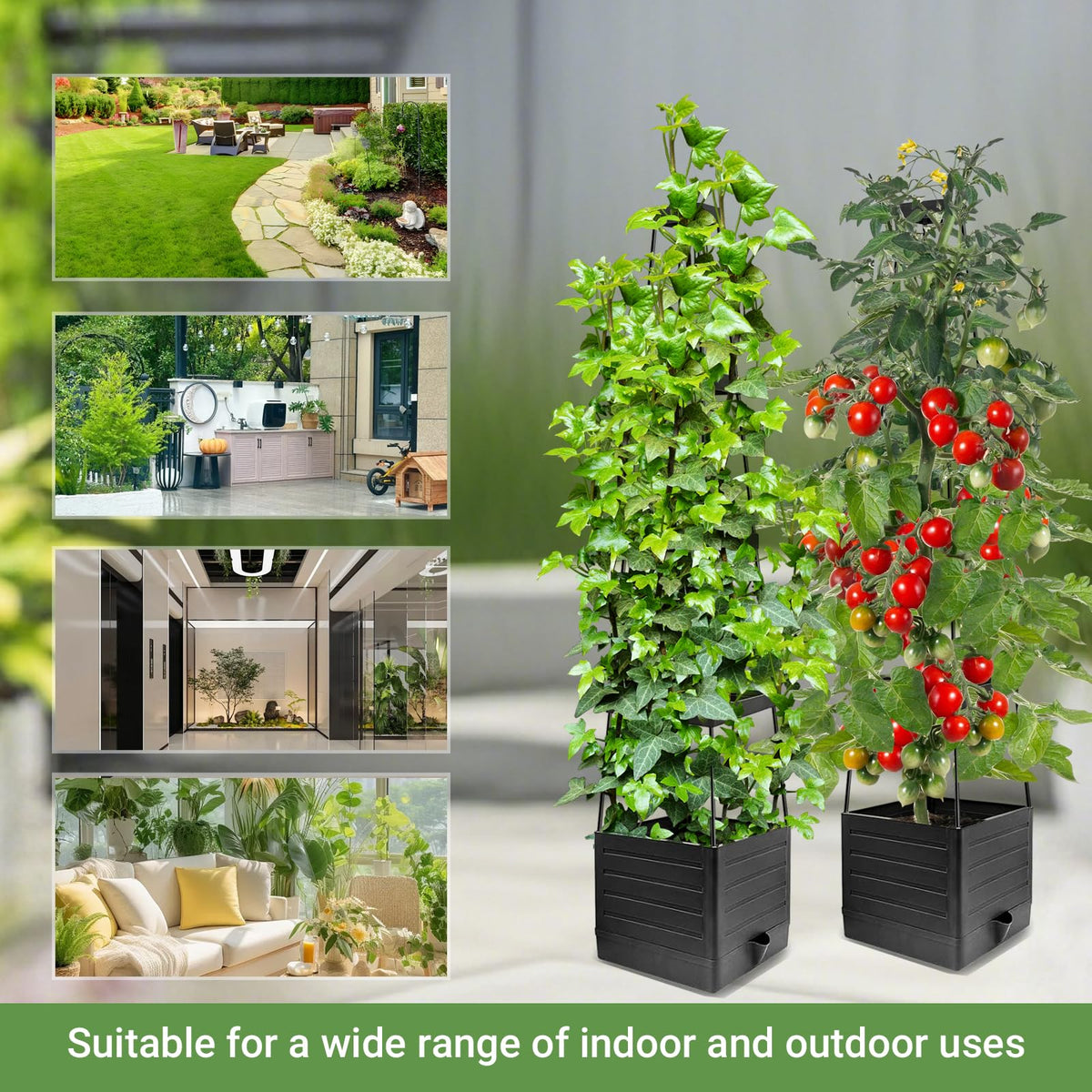 BOTINDO adjustable height trellis adapts as plants grow taller