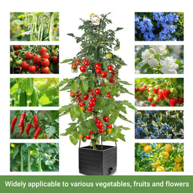 BOTINDO raised bed design suits indoor and outdoor gardening