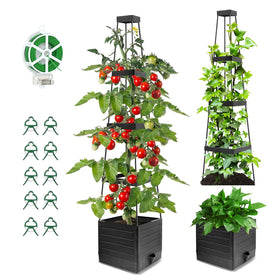 BOTINDO tomato planter with trellis enables tall vertical growth for higher yields