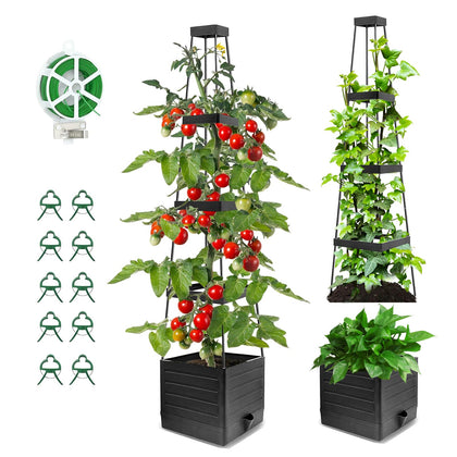 BOTINDO tomato planter with trellis enables tall vertical growth for higher yields