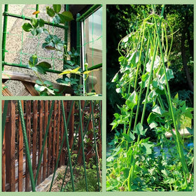 BOTINDO weather-ready stake resists wind, rain, and sun.