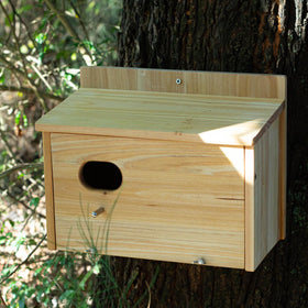 BoughPeace entrance hole dimension highlighted for safe entry by small backyard birds.