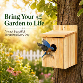 Garden view with BoughPeace wooden bird house inviting songbirds