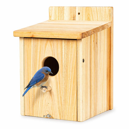 BoughPeace wooden bird house viewed outdoors with bluebird entrance for nest