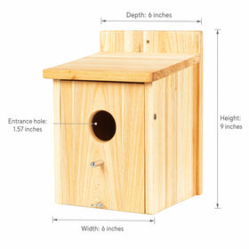 Side view of BoughPeace bird house highlighting easy-clean hinged door