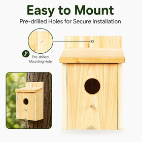 BoughPeace nest box measures 6x6x9 inches for small species