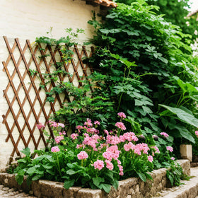 Bounmer expandable garden trellis extended panel shows flexible space for vines