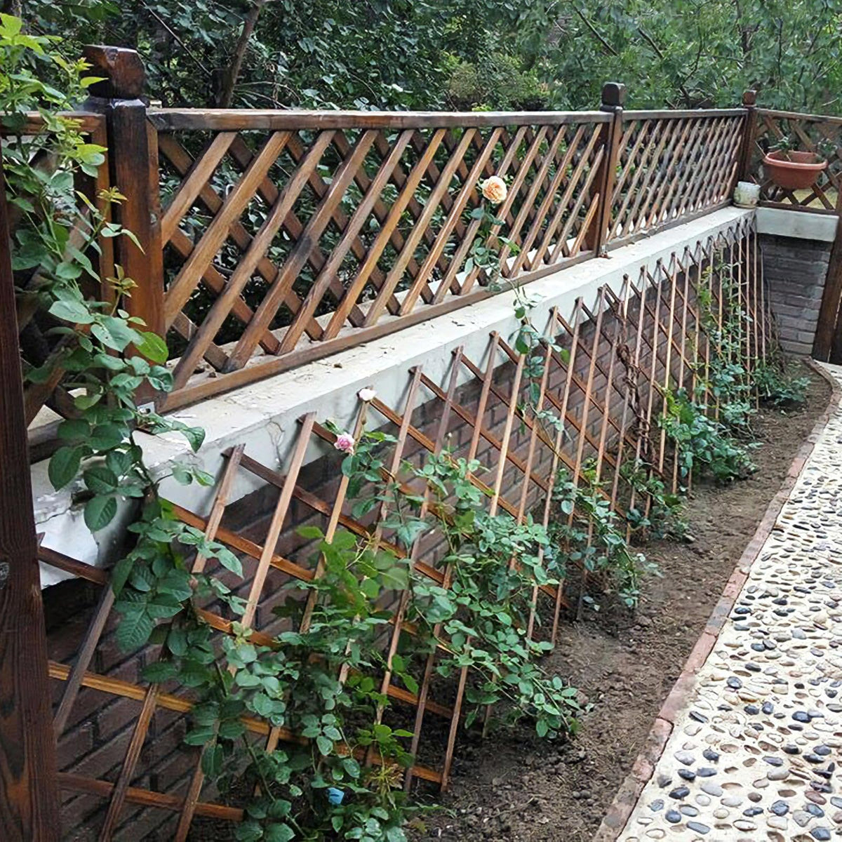 Bounmer expandable trellis enhances privacy and garden ambiance