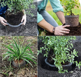 boUod garden gopher baskets support healthy, thriving borders.
