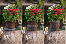 boUod underground barrier keeps pests away from plants.