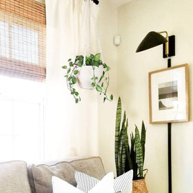 Bouqlife 2-pack macrame hangers offer versatile plant displays.