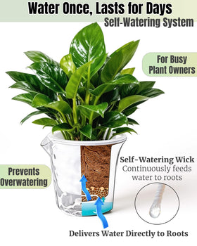 BovcTrraann self-watering pot drainage holes allow roots to breathe and stay healthy