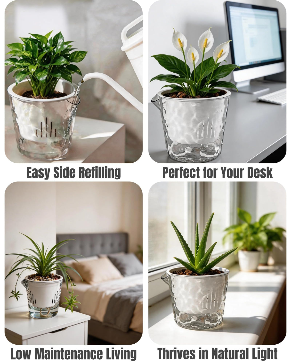 BovcTrraann self-watering pot suitable for indoor and outdoor use