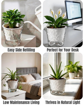 BovcTrraann self-watering pot suitable for indoor and outdoor use