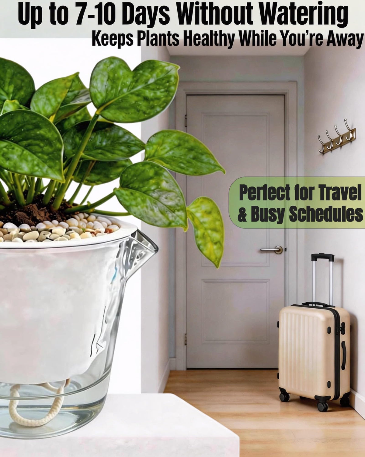BovcTrraann self-watering pot transparent tray for easy water-level monitoring