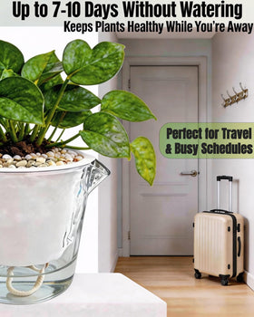 BovcTrraann self-watering pot transparent tray for easy water-level monitoring