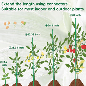 BOVITRO indoor-outdoor-stakes ideal for orchids, tomatoes, beans, and more