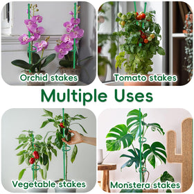BOVITRO fiberglass-material stakes deliver durable support for long-term use