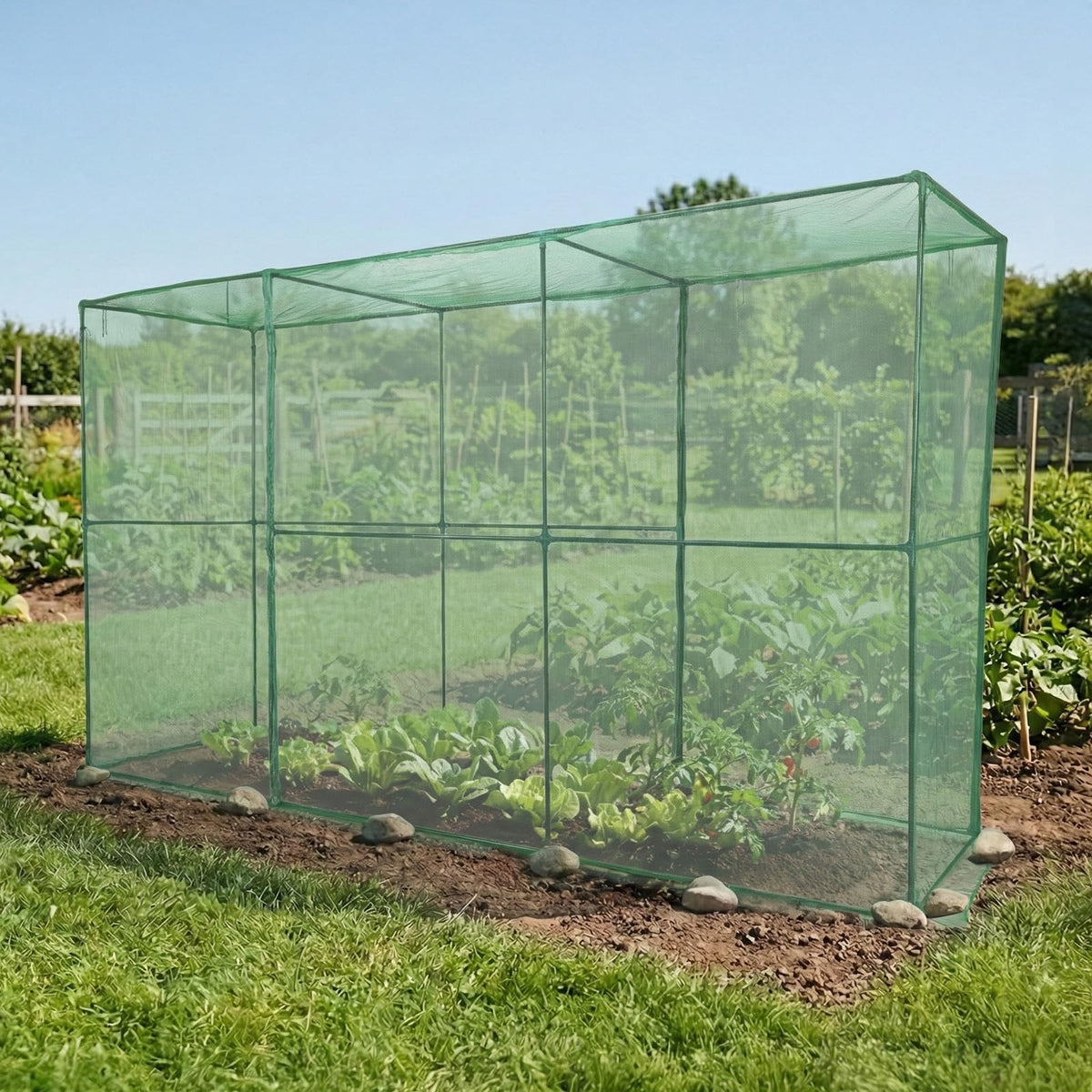 BPS Crop Cage shielding a wide planting area from birds and rabbits