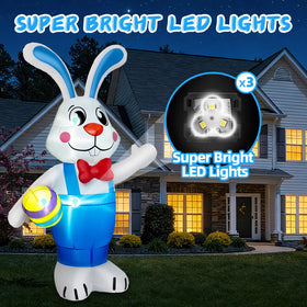 BRDJade built in LED lights illuminate the Easter bunny at night