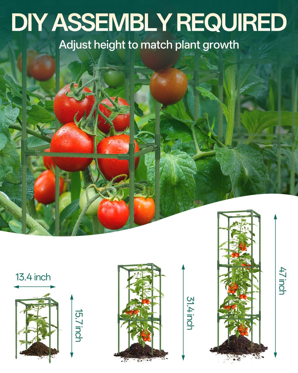 Breeze Touch 3-pack square tomato cage visualizes space-saving trellis for climbing vines in pots.