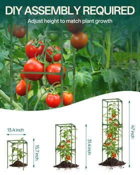 Breeze Touch 3-pack square tomato cage visualizes space-saving trellis for climbing vines in pots.