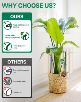 Breeze Touch green labels 15pc mark plant varieties with durable visibility.