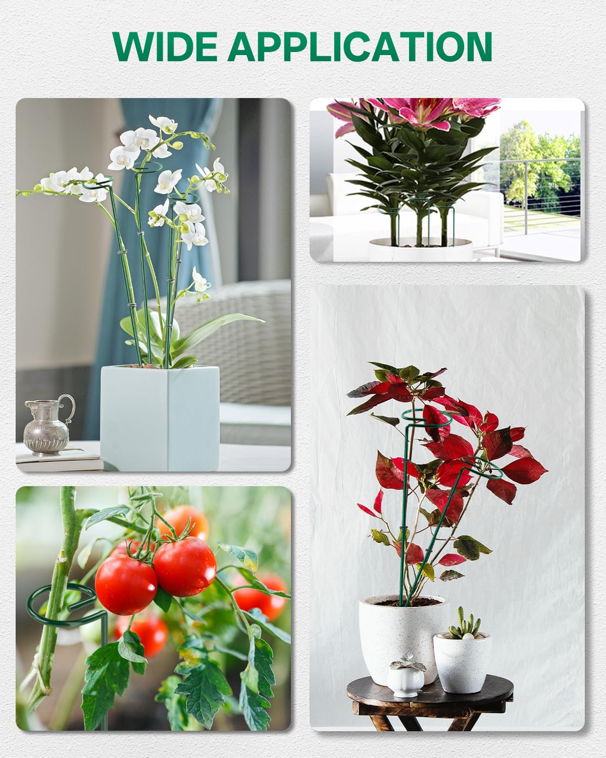 Breeze Touch versatile plant-support system for peonies and tomatoes.