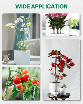 Breeze Touch versatile plant-support system for peonies and tomatoes.