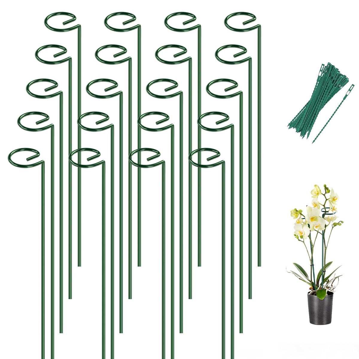 Breeze Touch 16-inch plant stake in soil supporting a tomato seedling.