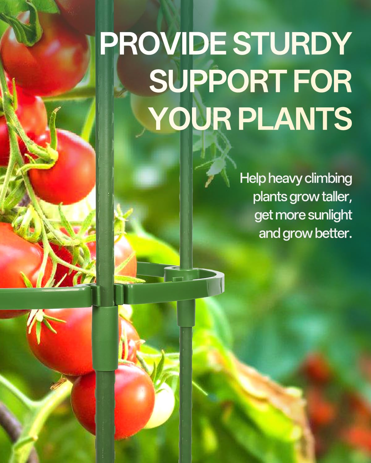 Breeze Touch stable tomato cage suitable for pots and small spaces.