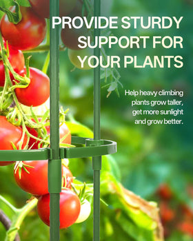 Breeze Touch stable tomato cage suitable for pots and small spaces.