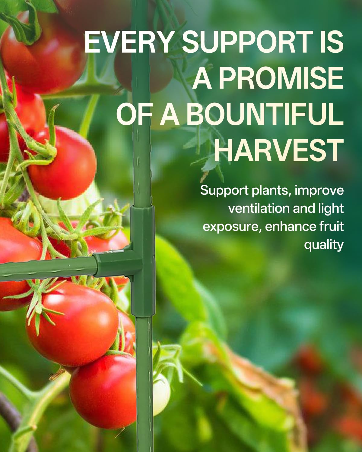 Breeze Touch tomato cage for pots and beans showcases versatile garden trellis.